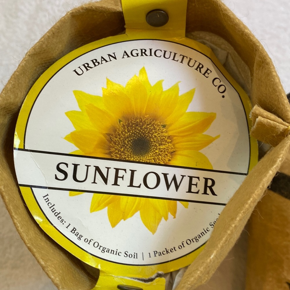 Organic sunflower complete growing kit NWT